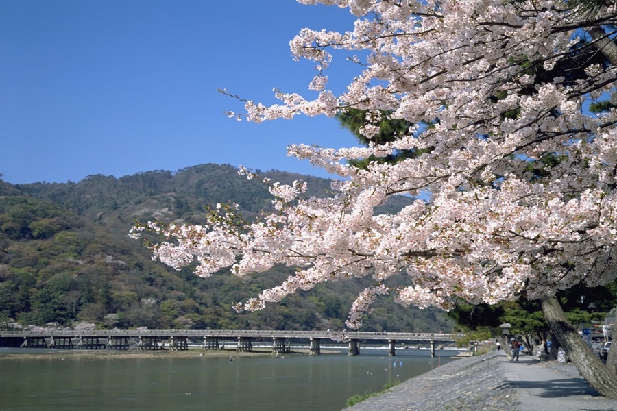 Kyoto Weather