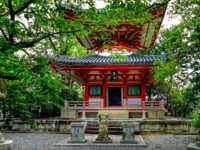 Kyoto sake brewery and tasting tour Review