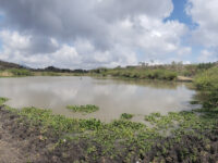 LAGUNITA EL PINAL Travel Forum Reviews