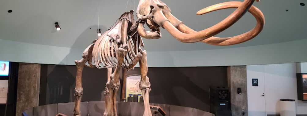 La Brea Tar Pits and Museum Travel Forum Reviews