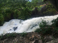 La Cascada Del Huaco Travel Forum Reviews
