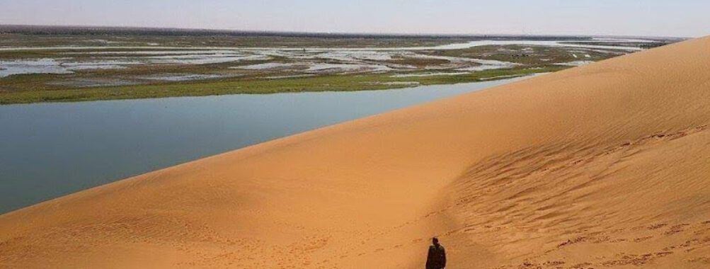 La Dune Rose Travel Forum Reviews