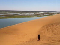 La Dune Rose Travel Forum Reviews