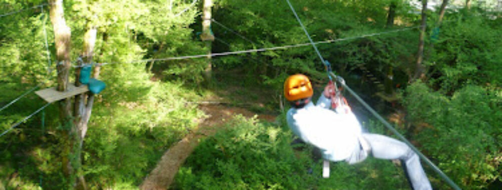 La Foret des Vert'tiges Travel Forum Reviews