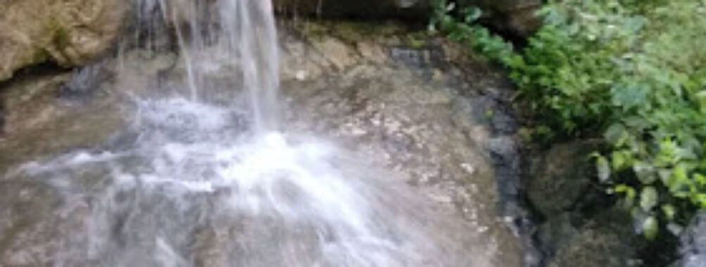 La Gua Travel Forum Reviews