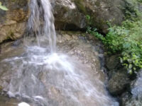 La Gua Travel Forum Reviews