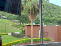 La Herradura Casa Club Travel Forum Reviews