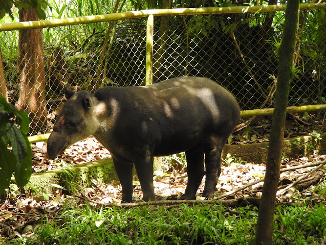 La Marina Wildlife Rescue Center