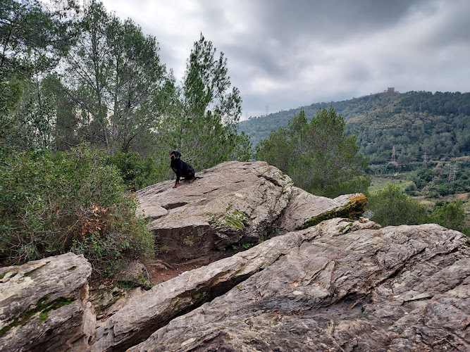 La Roca Negra