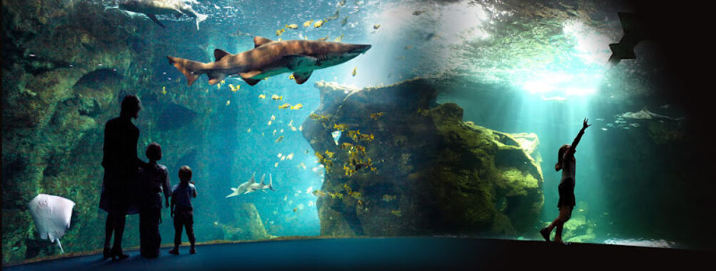 La Rochelle Aquarium Travel Forum Reviews