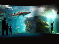 La Rochelle Aquarium Travel Forum Reviews