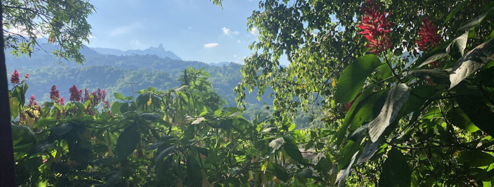 La Silleta Travel Forum Reviews
