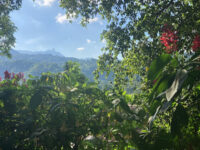 La Silleta Travel Forum Reviews