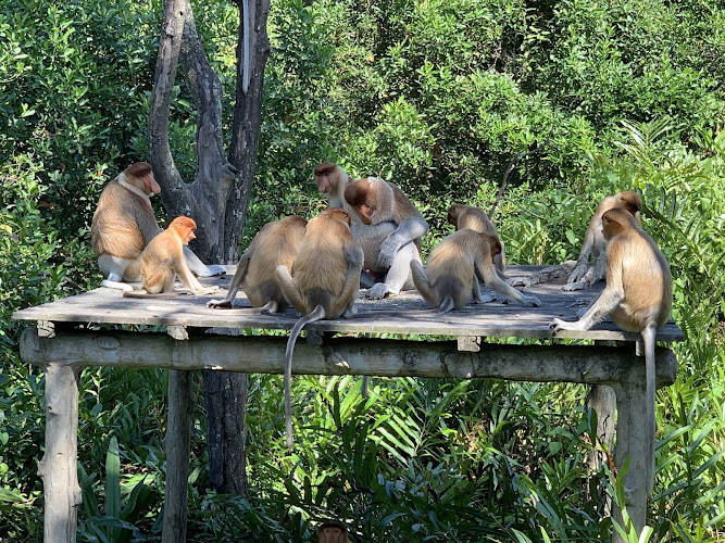 Labuk Bay Proboscis Monkey Sanctuary - Entrance