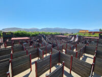 Labyrinth Park Travel Forum Reviews