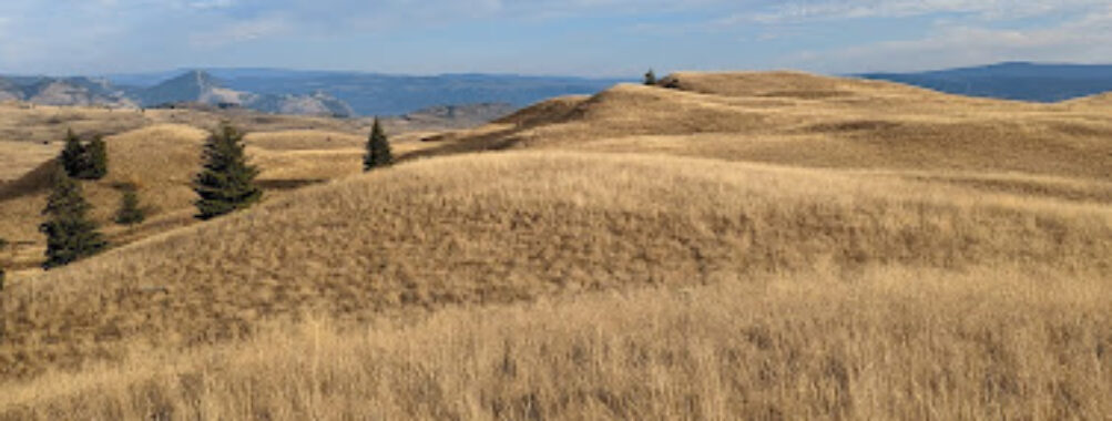 Lac Du Bois Grasslands Protected Area Travel Forum Reviews