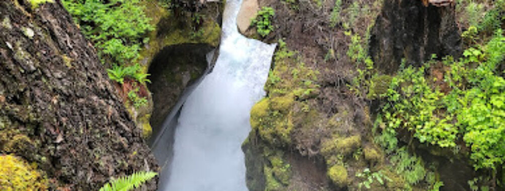 Ladder Creek Falls Travel Forum Reviews