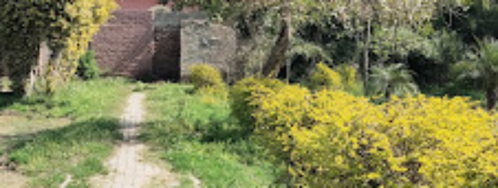 Ladies Park Okara Travel Forum Reviews