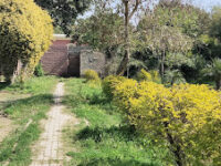 Ladies Park Okara Travel Forum Reviews
