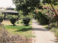Ladies Park kasur Travel Forum Reviews
