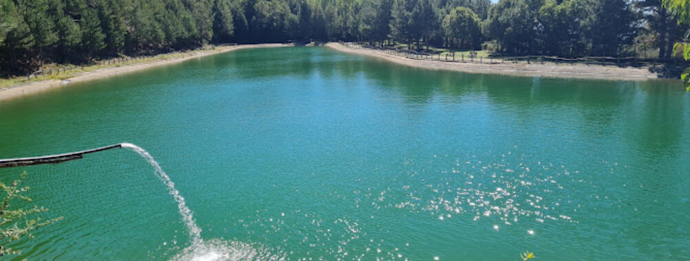 Laghetto Collinare Travel Forum Reviews