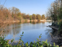 Laghetto Europa Travel Forum Reviews
