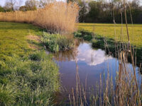Laghetto Parco Nord Travel Forum Reviews