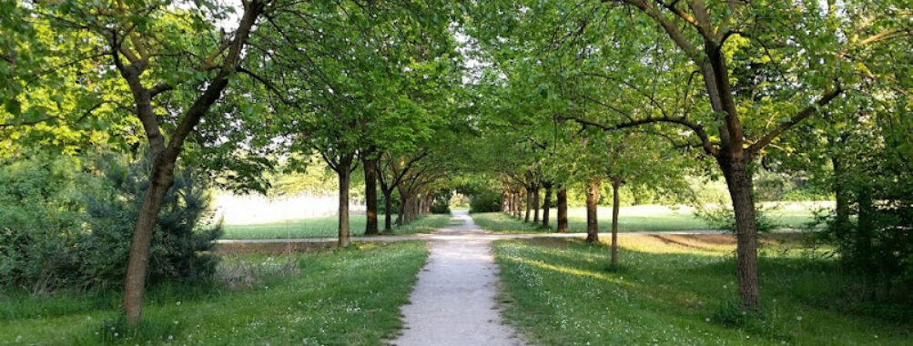 Laghetto di Viale Fulvio Testi Travel Forum Reviews