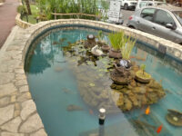 Laghetto - lungomare Catanzaro Travel Forum Reviews