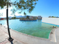 Lago Artificial Travel Forum Reviews