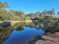 Lago da Mata da Machada Travel Forum Reviews