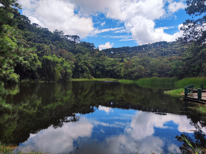Lago das Carpas