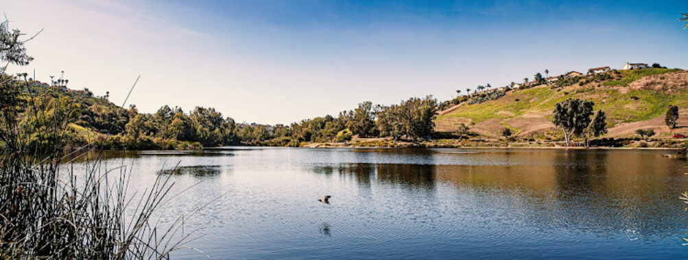 Laguna Niguel Regional Park Travel Forum Reviews
