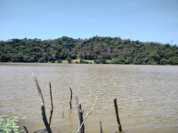 Laguna de Chalchoapan Travel Forum Reviews