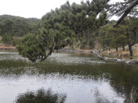 Laguna el Tecajete Travel Forum Reviews