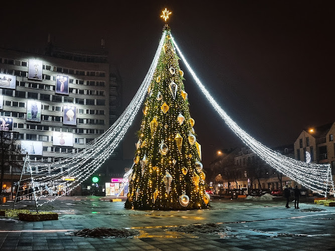 Laisvės a.