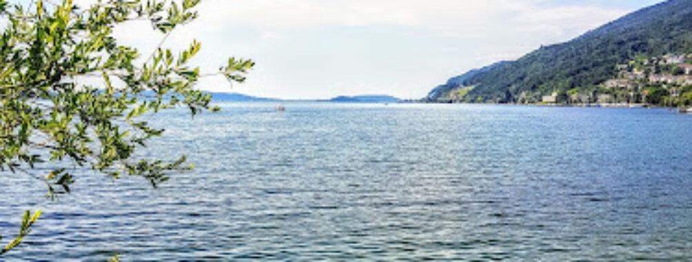 Lake Biel Travel Forum Reviews