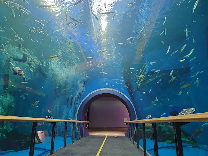 Lake Biwa Museum