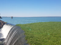 Lake Chivero Recreational Park Travel Forum Reviews