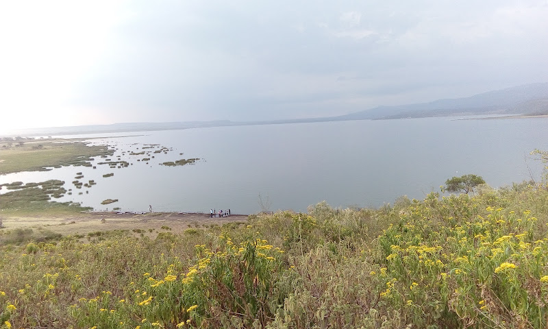 Lake Elementaita Hot Spring
