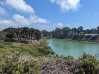Lake Merced Park Travel Forum Reviews