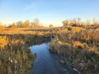 Lakefront West Park Travel Forum Reviews