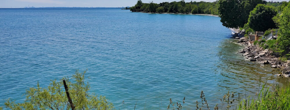 Lakewoods Park Lookout Travel Forum Reviews