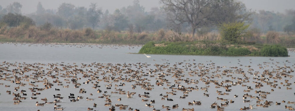 Lakh Bahosi Sanctuary Travel Forum Reviews