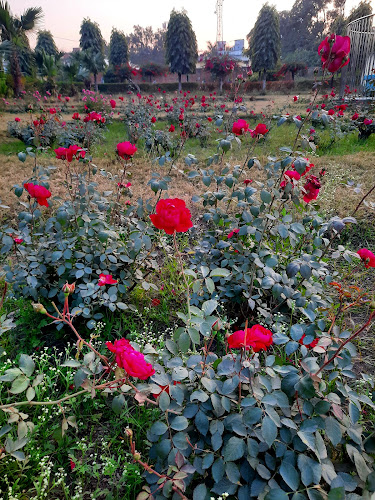 Laldiggi Park Mirzapur