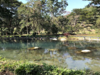 Lam Nam Kok National Park Travel Forum Reviews