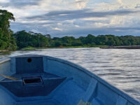 Lanchas Mono Travel Forum Reviews