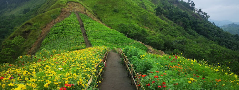 Landingan Viewpoint Travel Forum Reviews