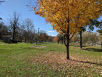 Landon Boyd Park Travel Forum Reviews