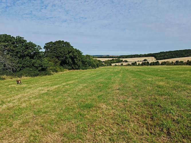 Langdon Hill Country Park
